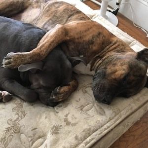 Meet your Posher, Mike